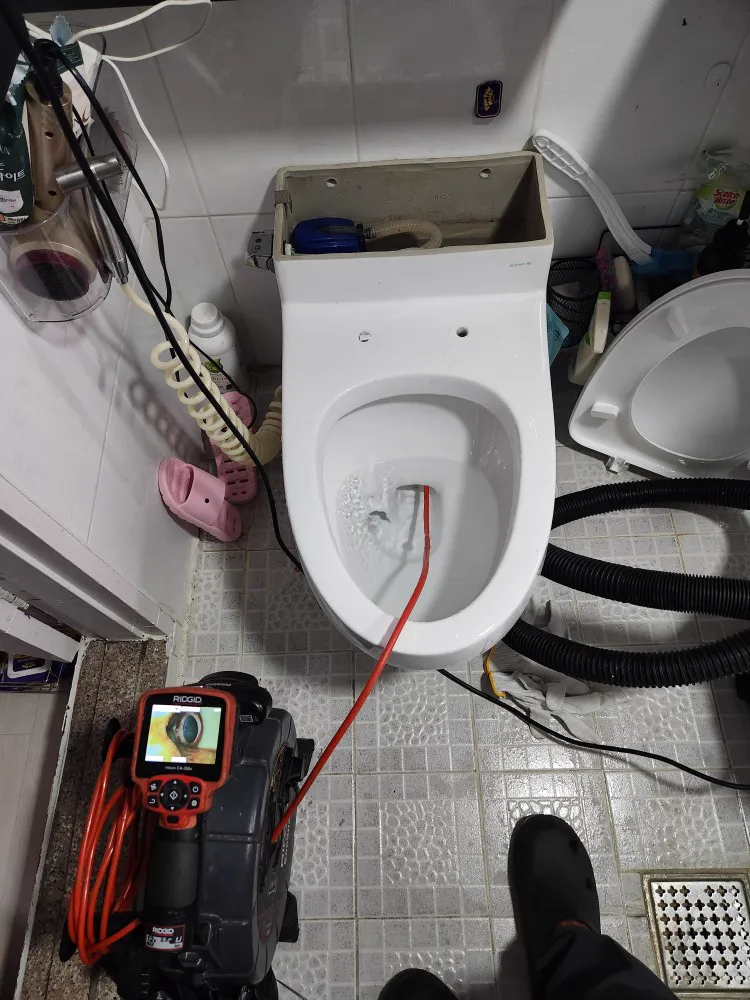 변기 막힘 처리: 내시경 확인