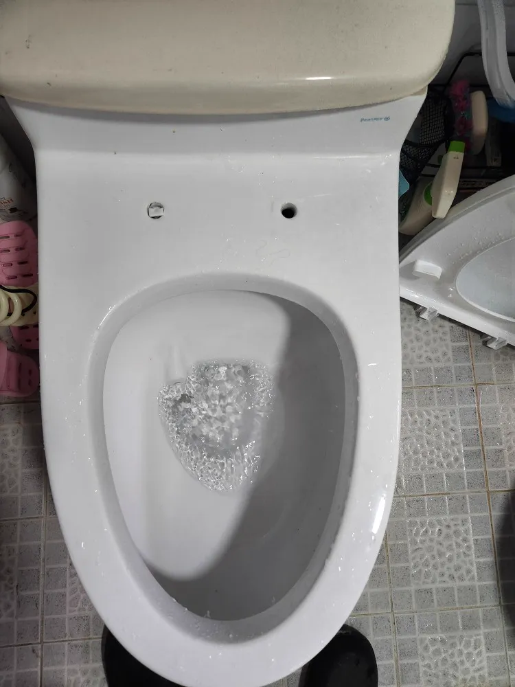 변기 막힘 처리: 배수 확인 및 테스트